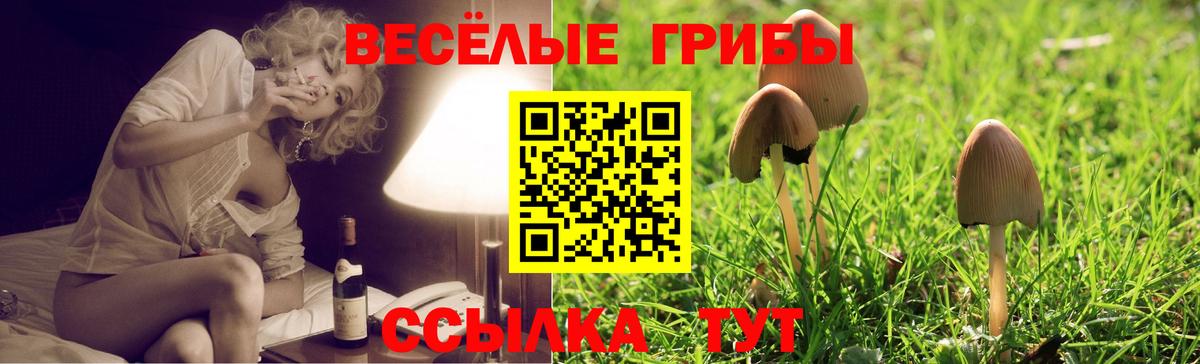 Галлюциногенные грибы GOLDEN TEACHER Щёлково