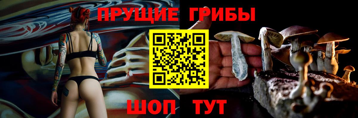Галлюциногенные грибы Cubensis  Вход с VPN  Псилоцибиновые грибы MAGIC MUSHROOMS  купить наркотики сайты  Щёлково 